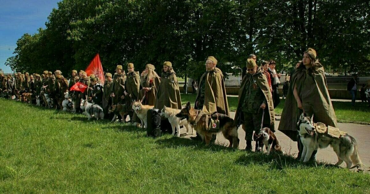 В Калининграде в целях безопасности отменили шествие «Лохматого полка ...