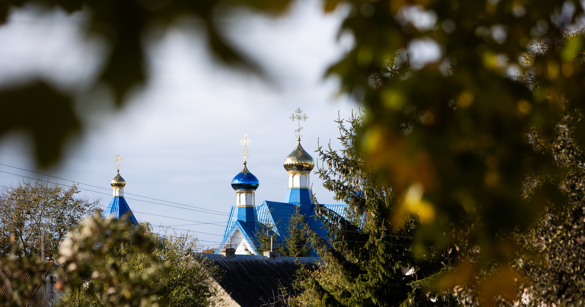 Девять целителей картинки