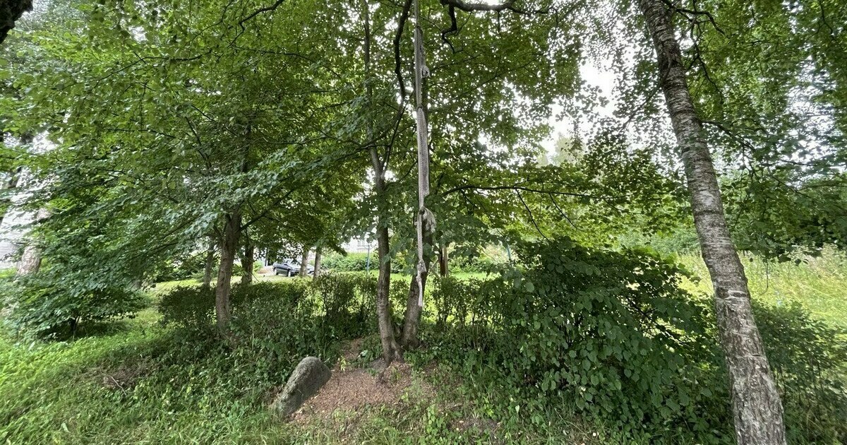 В Свердловской области собачница нашла в парке пару повешенных ...