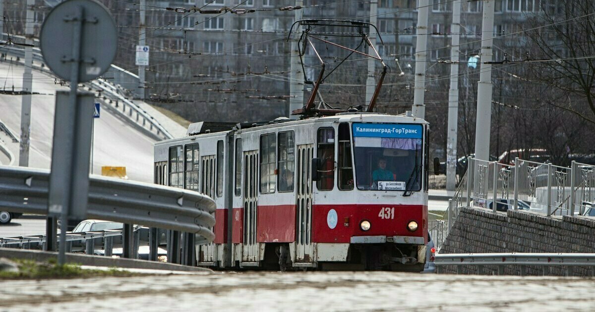 Власти передумали пускать трамвай к стадиону «Калининград» - Новости ...