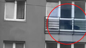 «Так кричит, что хочется выть вместе с ней»: калининградцы сообщили ещё об одной собаке, которую держат на балконе 