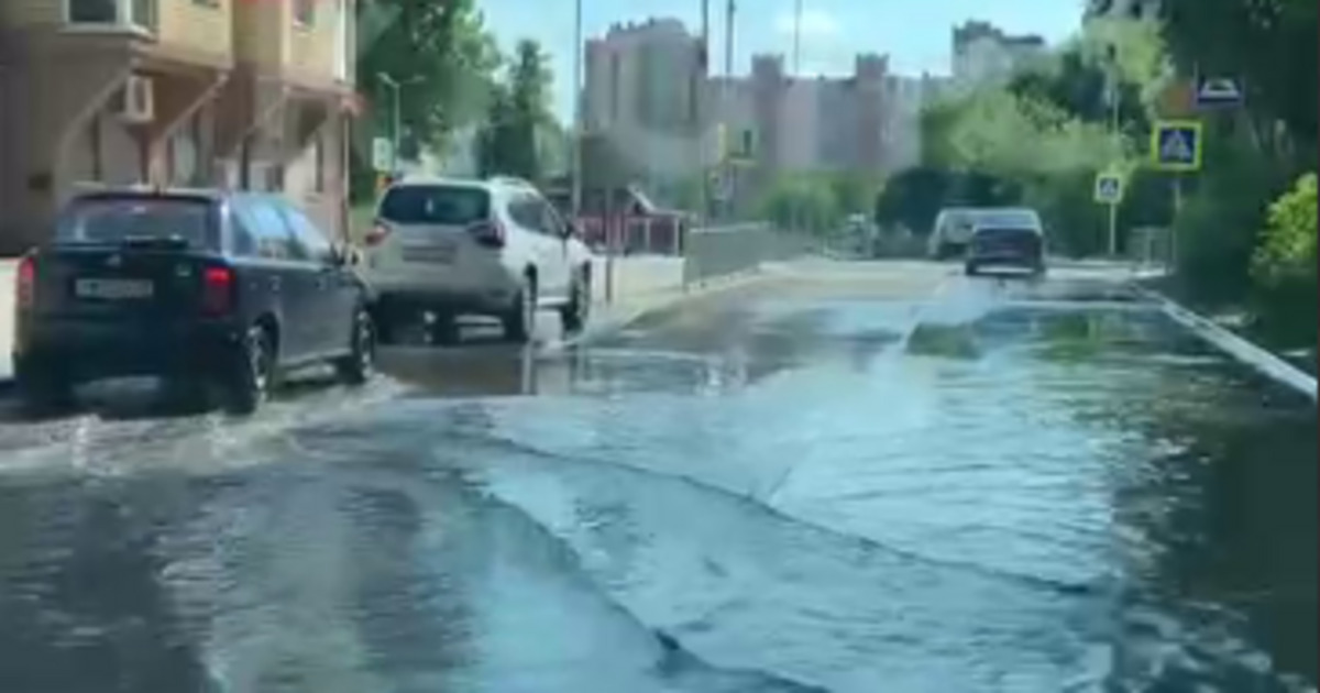 Потоп в калининграде сегодня видео. Затопило. Затоплен. Затопленный лес в Калининграде. Затопить.