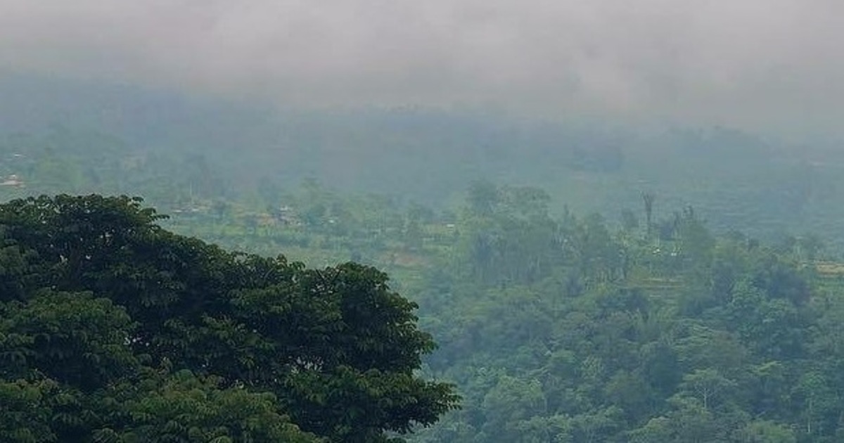 Lost Mayan City Discovered in Mexican Jungle with Mysterious Pyramids and Grisly Burials