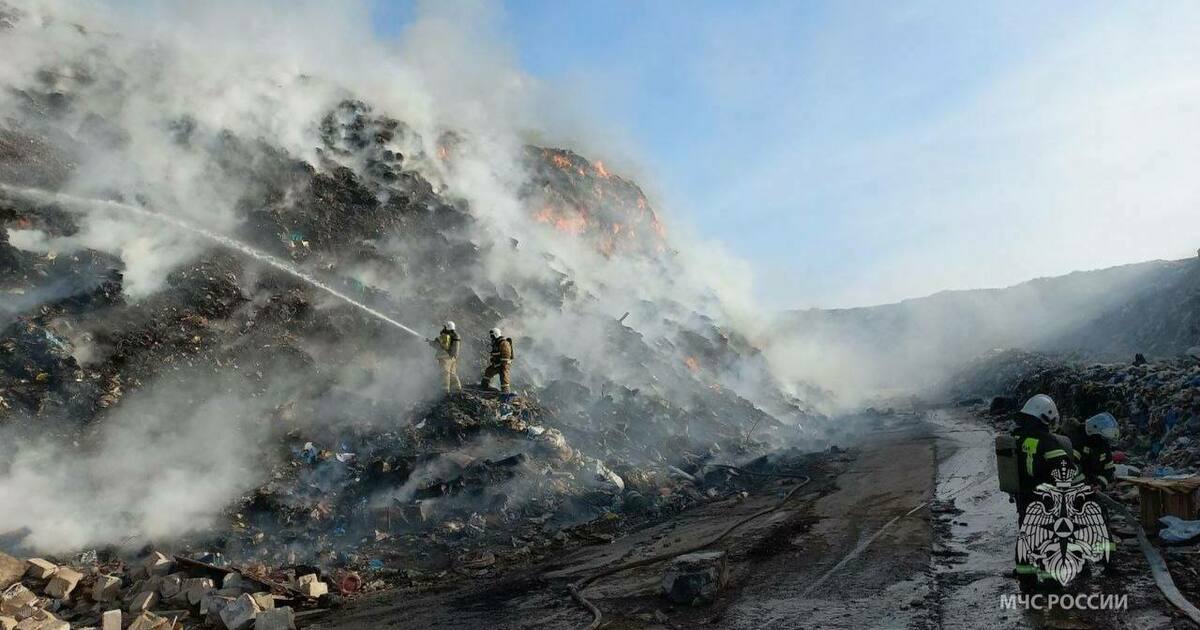 6 фото в одной онлайн