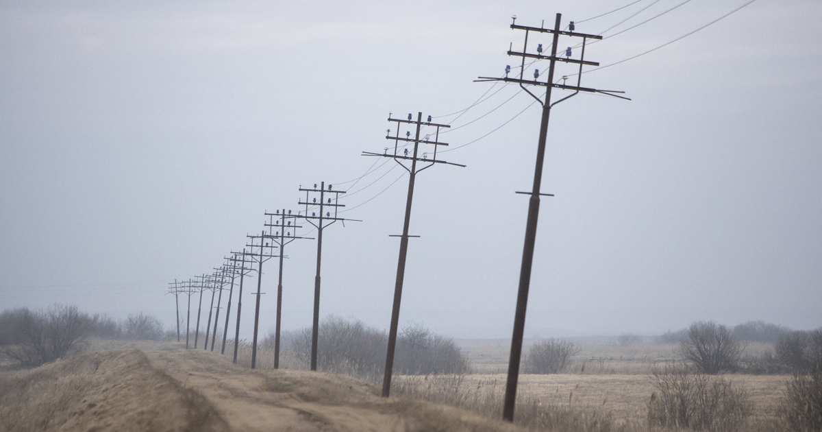 Кто сторожит удачу: народные приметы на 14 ноября - Новости Калининграда