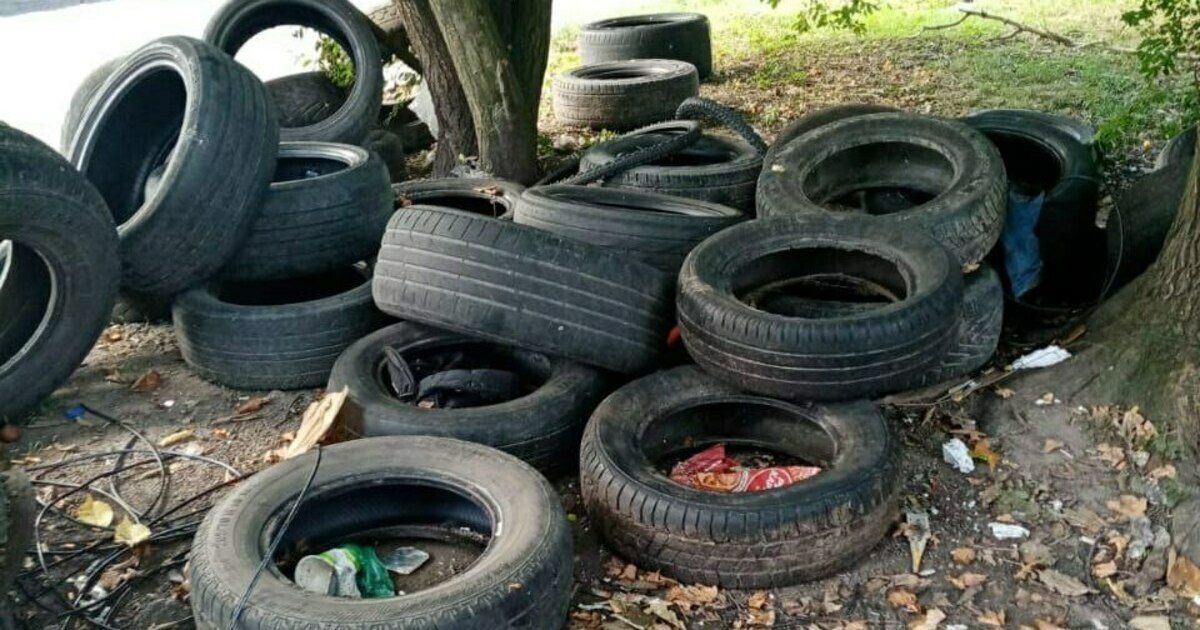 «В копеечку»: в мэрии Калининграда рассказали, во сколько обходится ...