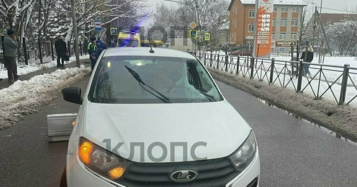 Нападение медведицы в Коми и смертельное ДТП в Калининграде: 9 ...
