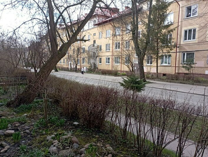 На Офицерской перекрыли движение из-за съёмок сериала «ГДР» - Новости ...