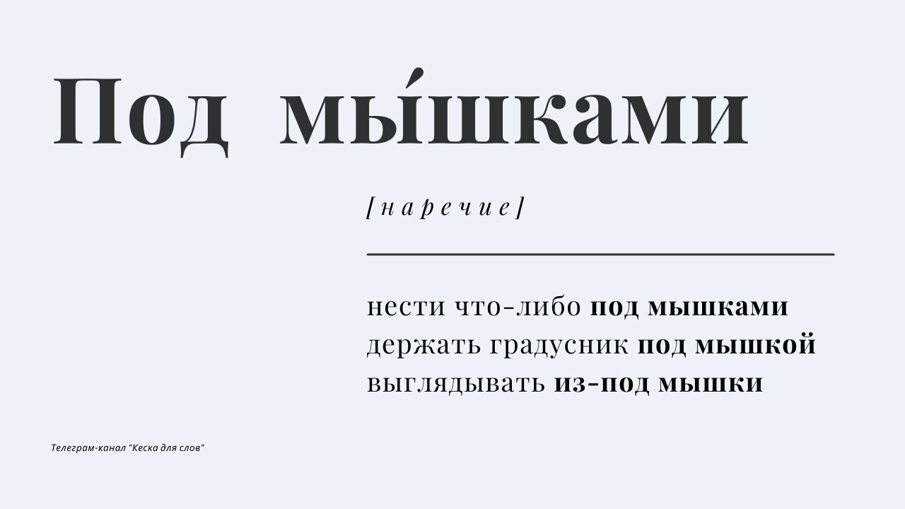 Топ-10 наречий, в которых невозможно не сделать ошибку - Новости  Калининграда