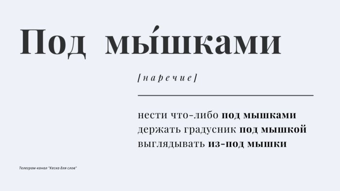 Топ-10 наречий, в которых невозможно не сделать ошибку - Новости Калининграда | Иллюстрация: Telegram-канал «Кеска для слов»