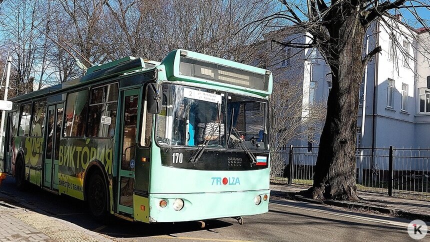 В калининградском троллейбусе мужчина набросился на пассажира и стал выхватывать чужую сумку - Новости Калининграда | Фото очевидца