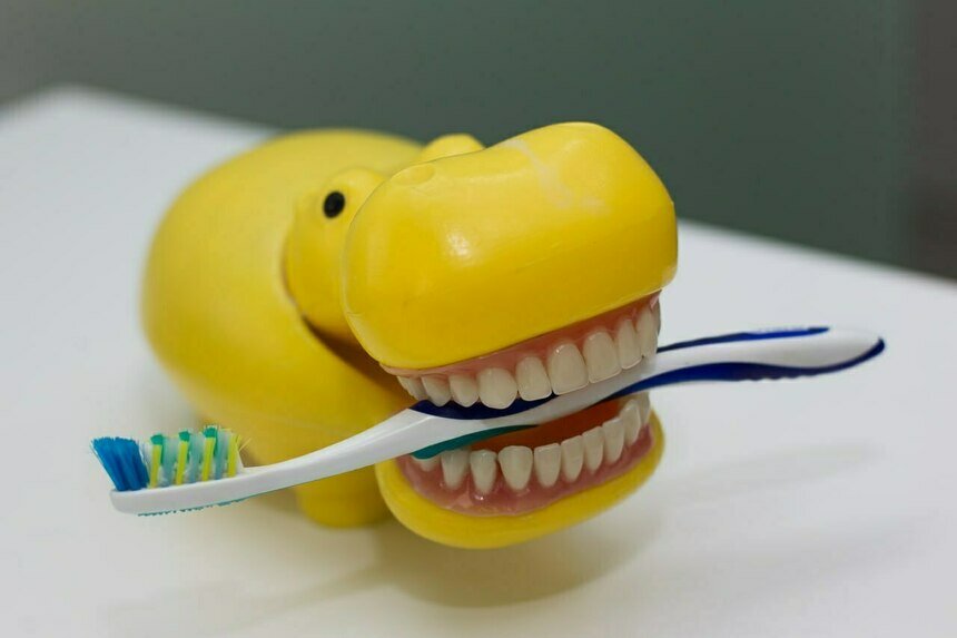 Врач рассказала, как убедить ребёнка пойти к стоматологу  | Фото: Александр Подгорчук / Архив «Почему Болит»