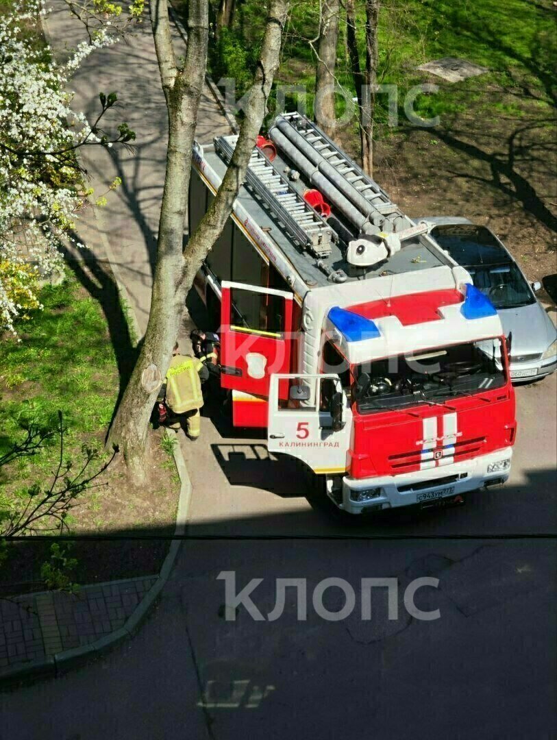 Пришлось там попотеть»: в Калининграде тушили подвал пятиэтажки на  Моспроспекте (фото, видео) - Новости Калининграда