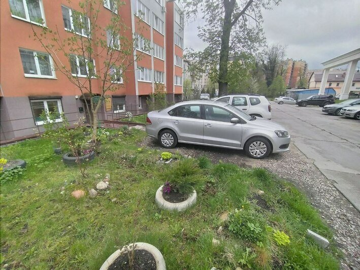 Пенсионерка из Калининграда объявила войну парковке под окнами и принялась сажать деревья и гонять водителей - Новости Калининграда