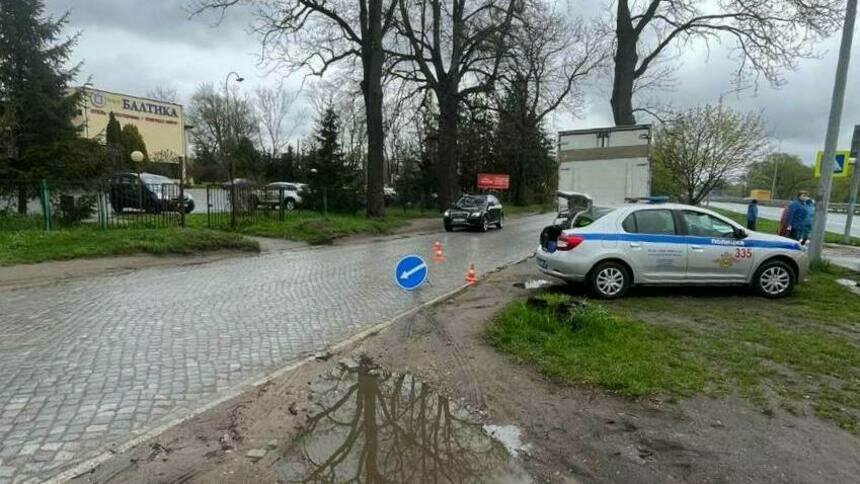 Не перебегай дорогу в неположенном месте картинки