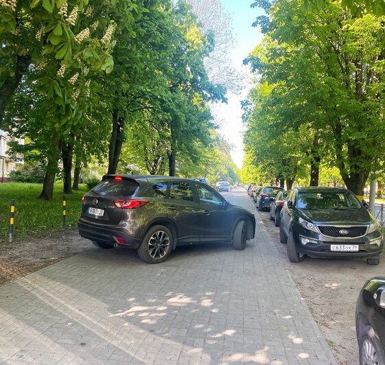 В центре Калининграда начали закрывать народную парковку на тротуаре (фото) - Новости Калининграда