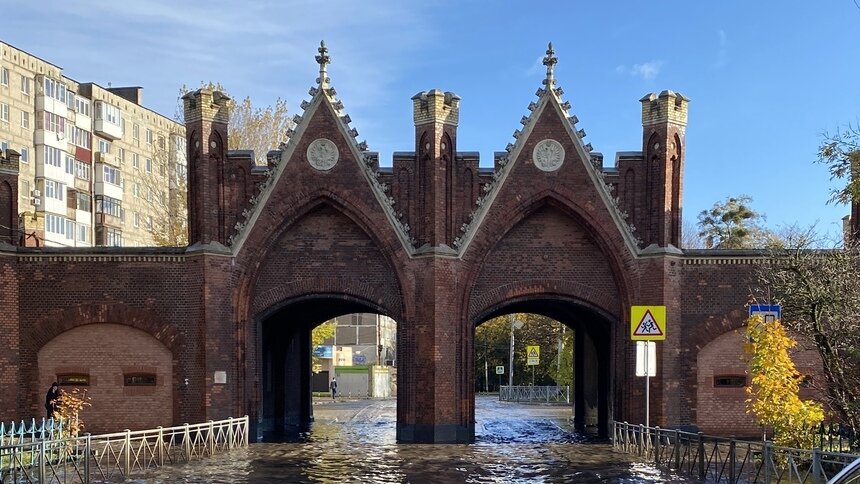 Власти не поддержали идею установить памятник Гофману у Бранденбургских ...