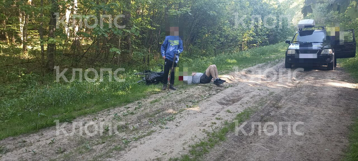 В лесу под Зеленоградском 42-летний учитель катался на велосипеде с семиклассником и сломал ключицу   - Новости Калининграда | Фото: Очевидец