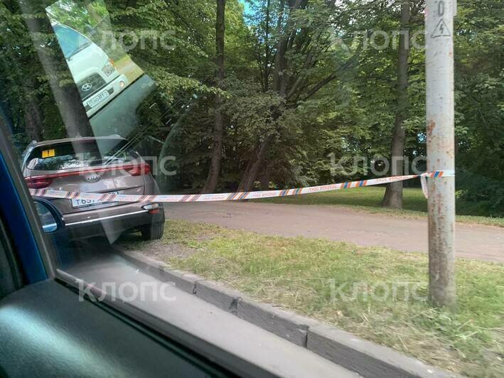 На Островского автомобиль врезался в дерево (фото)  - Новости Калининграда | Фото: Очевидец