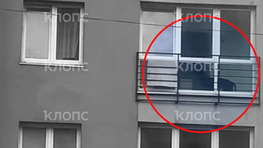 Собака сидит на балконе и воет целыми днями | Скриншот видеозаписи 