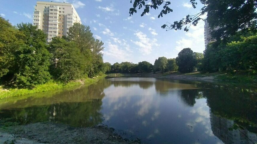 Ялтинский пруд утром, 8 июня | Фото: «Клопс»