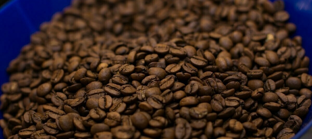 Диетолог рассказала, какой кофе содержит больше всего полезных веществ