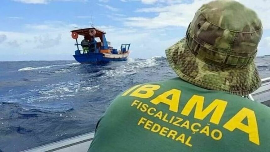 В Бразилии у контрабандистов изъяли почти 29 тонн акульих плавников - Новости Калининграда | Фото: Бразильский институт окружающей среды и возобновляемых природных ресурсов