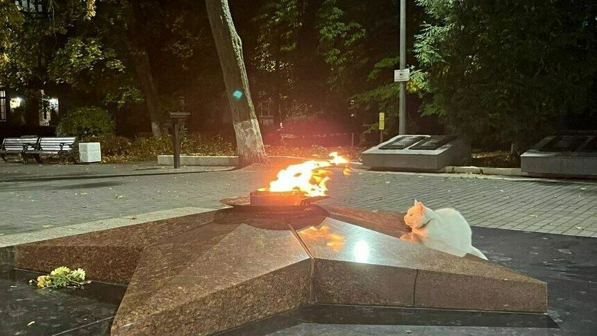 Вечный огонь вологда рисунок