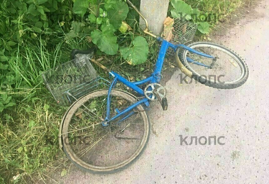 Голова была в воде: в канаве под Калининградом нашли погибшего велосипедиста - Новости Калининграда