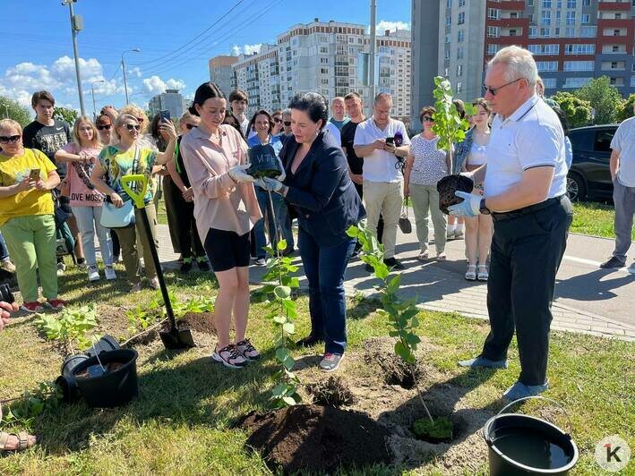 В Калининграде благодаря выпускникам-медалистам появился ещё один сиреневый сквер (фото) - Новости Калининграда | Фото: «Клопс»