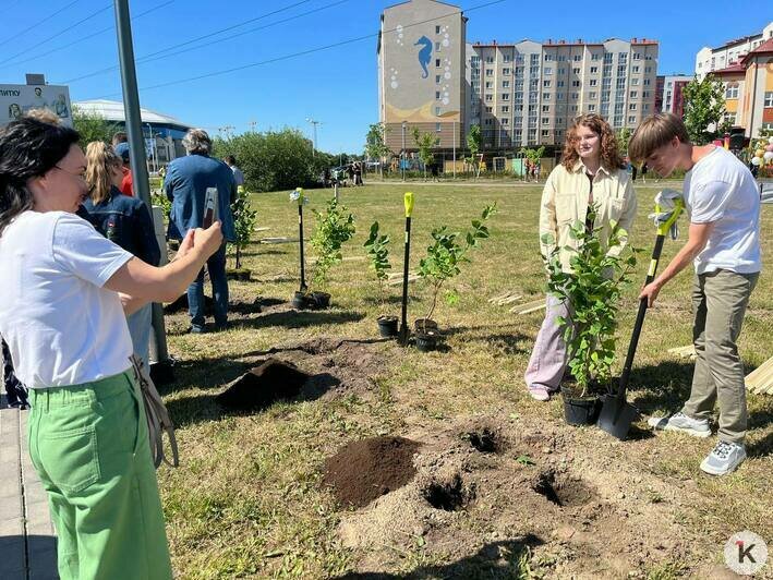 В Калининграде благодаря выпускникам-медалистам появился ещё один сиреневый сквер (фото) - Новости Калининграда | Фото: «Клопс»