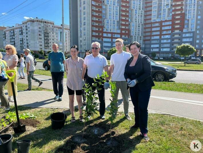 В Калининграде благодаря выпускникам-медалистам появился ещё один сиреневый сквер (фото) - Новости Калининграда | Фото: «Клопс»