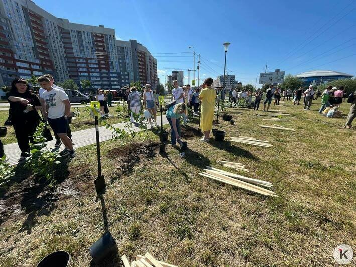 В Калининграде благодаря выпускникам-медалистам появился ещё один сиреневый сквер (фото) - Новости Калининграда | Фото: «Клопс»