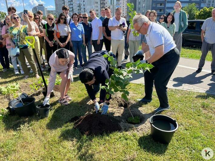 В Калининграде благодаря выпускникам-медалистам появился ещё один сиреневый сквер (фото) - Новости Калининграда | Фото: «Клопс»