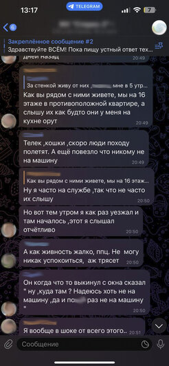 «Мы уверены, что их выбросили»: из калининградской квартиры на 15-м этаже с разницей в полчаса выпали два кота (фото) - Новости Калининграда | Скриншоты из общедомового чата