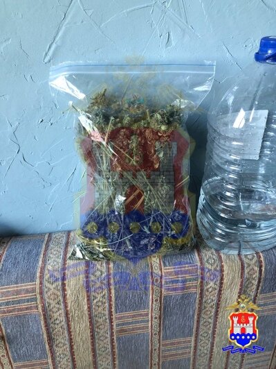 Калининградец соорудил короб с подсветкой и вентиляцией, чтобы его ...