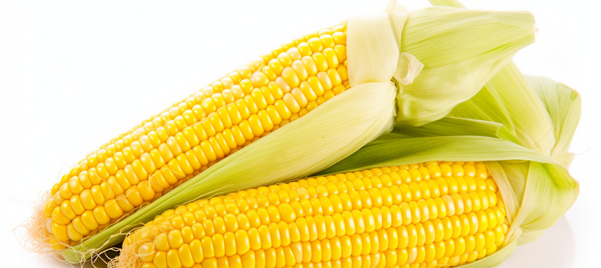 Поможет от песка в почках: доктор перечислил полезные свойства кукурузы 