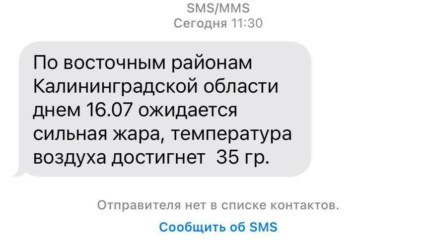 До +35: восток Калининградской области днём в воскресенье накроет жара - Новости Калининграда