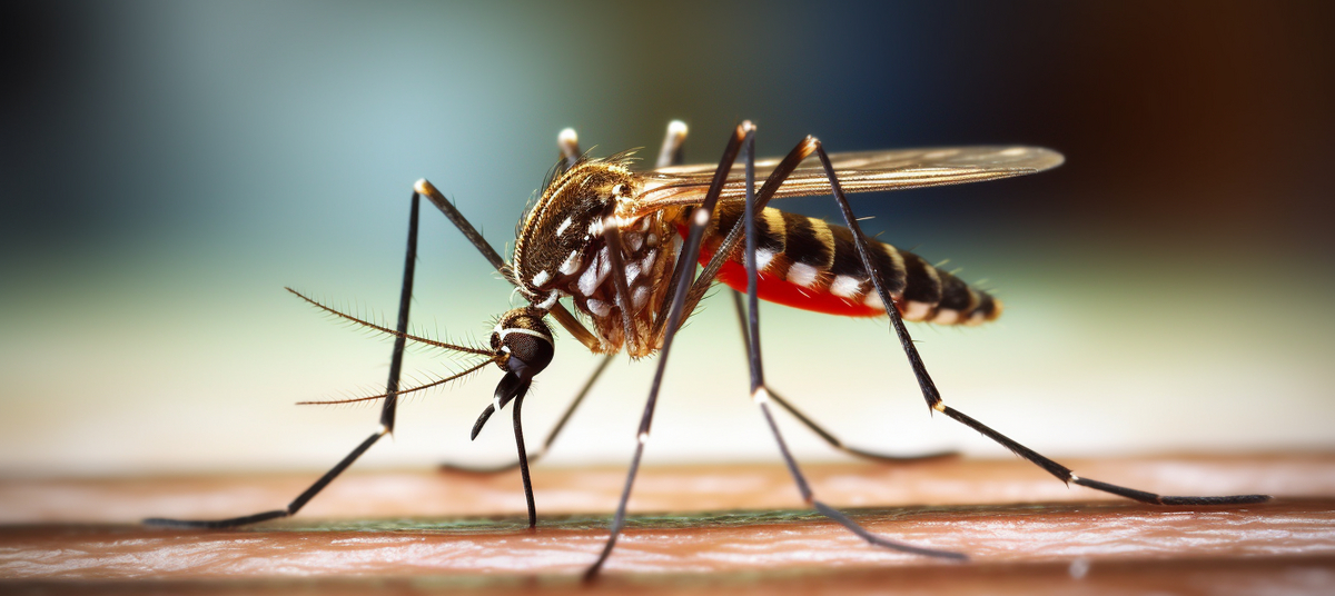 Что именно защищает нас от укусов насекомых: 5 веществ, которые входят в состав репеллентов