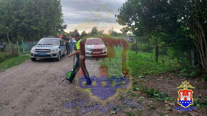 В Гусевском районе водитель сбил двоих детей и скрылся с места ДТП - Новости Калининграда | Фото: пресс-служба регионального УМВД