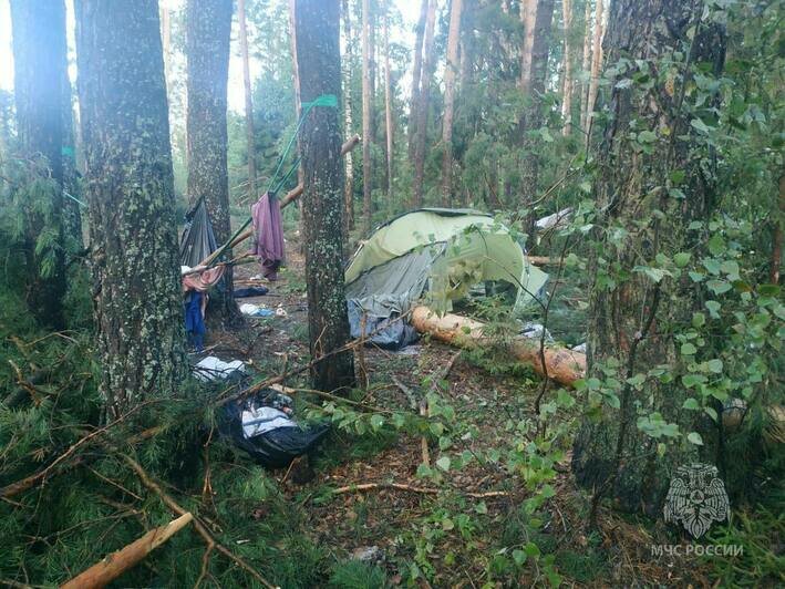 В Марий-Эл ураган разметал палаточный лагерь, погибли 7 человек (фото) - Новости Калининграда | Фото: пресс-служба МЧС России