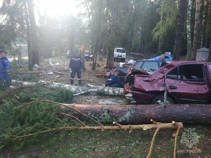 В Марий-Эл ураган разметал палаточный лагерь, погибли 7 человек (фото) - Новости Калининграда | Фото: пресс-служба МЧС России