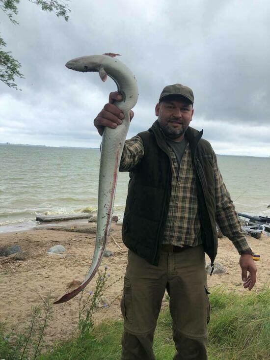 Царь-рыба: калининградец поймал в заливе угря весом 3 кг (фото) - Новости Калининграда | Фото очевидцев
