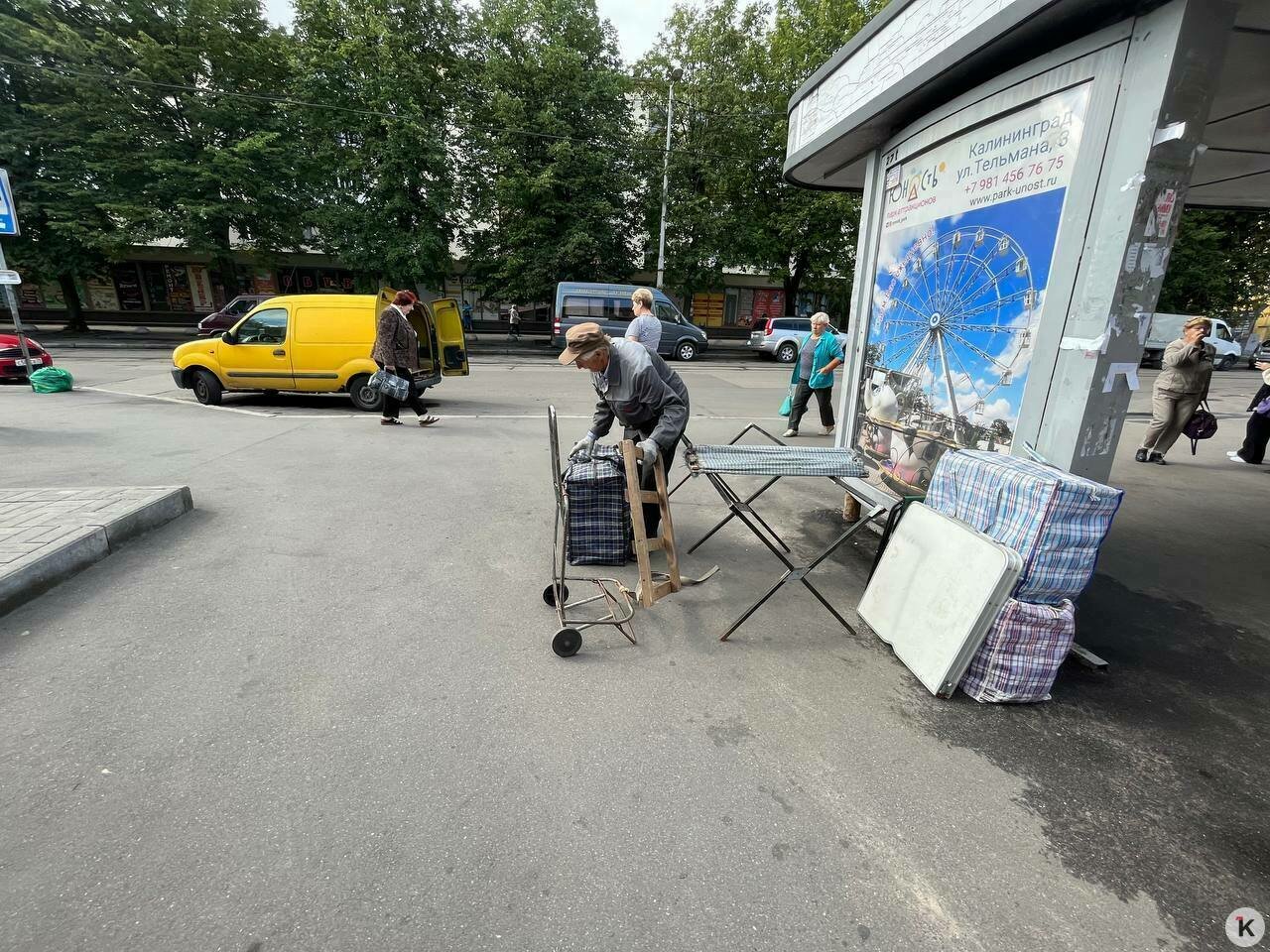 В Калининграде нелегалы готовы платить штрафы, лишь бы торговать в бойком  месте: фоторепортаж с Киевской - Новости Калининграда