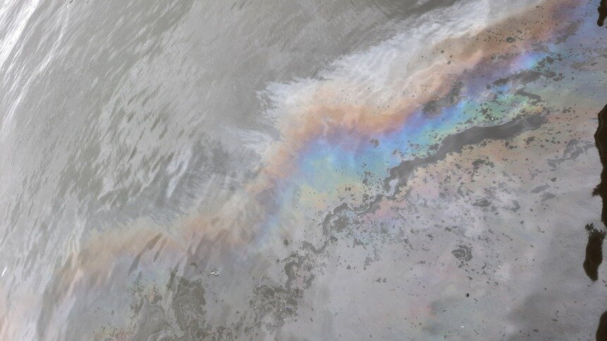 Калининградцы второй раз за неделю заметили нефтяные пятна в Преголе - Новости Калининграда | Фот очевидцев