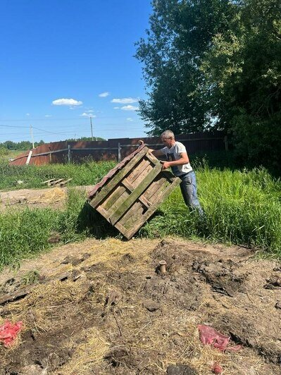 100 огромных собак и один старенький микрик: хозяева приюта под Багратионовском рассказали, как переезжали на новое место (фото) - Новости Калининграда | Фото: Татьяна Гальминене