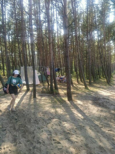 «Хватит убивать лес!»: в Сокольниках туристы продолжают вить гнёзда из плёнки между соснами и мусорить (фото) - Новости Калининграда