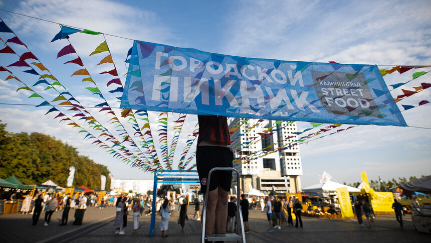 Городской пикник Калининград 2023. Kaliningrad Street food. Kaliningrad Street food Festival.