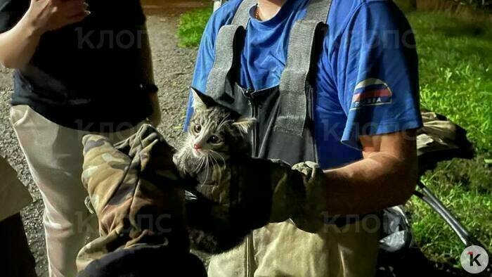 Спасённый котёнок в руках у сотрудника МЧС  | Фото: очевидец 