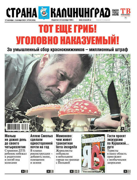 Тот ещё гриб, уголовно наказуемый: читайте в газете «Страна Калининград» - Новости Калининграда